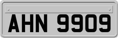 AHN9909