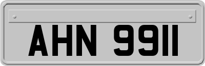AHN9911