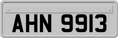 AHN9913
