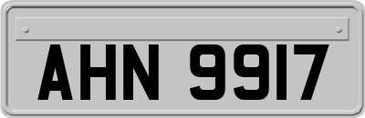 AHN9917