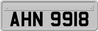 AHN9918