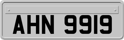 AHN9919