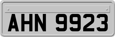 AHN9923