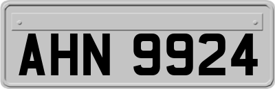 AHN9924