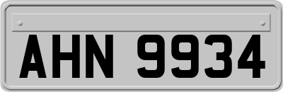 AHN9934