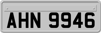 AHN9946