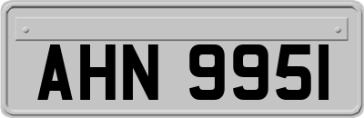 AHN9951