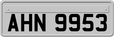 AHN9953