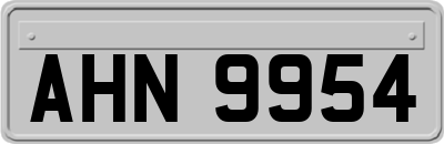 AHN9954