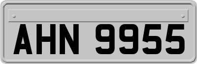 AHN9955