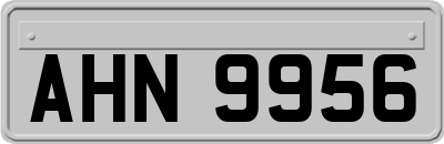 AHN9956