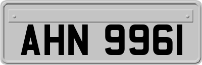 AHN9961