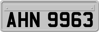 AHN9963