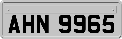 AHN9965