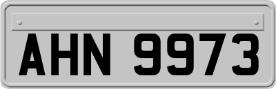 AHN9973