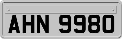 AHN9980