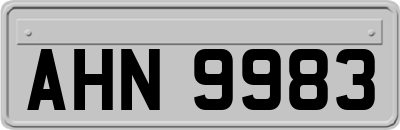 AHN9983