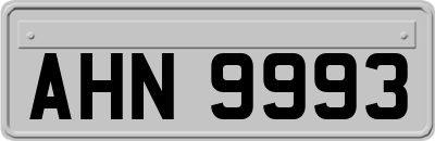 AHN9993