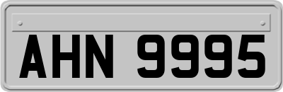 AHN9995