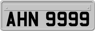 AHN9999