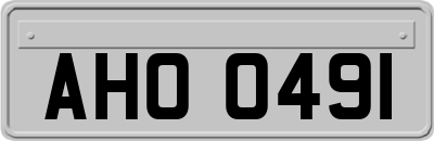 AHO0491
