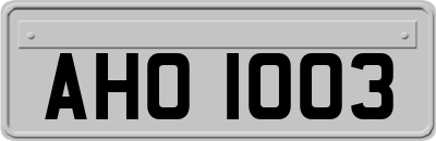 AHO1003