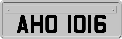 AHO1016