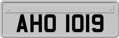 AHO1019