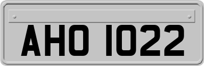 AHO1022