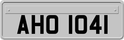 AHO1041