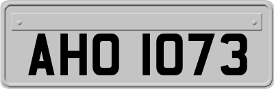 AHO1073