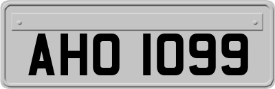 AHO1099
