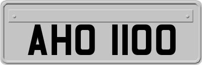 AHO1100