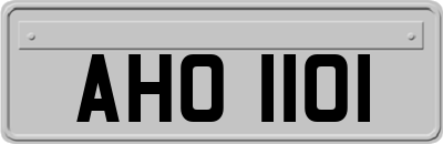 AHO1101