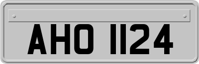 AHO1124