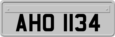 AHO1134