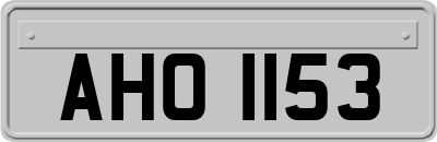 AHO1153