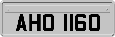 AHO1160