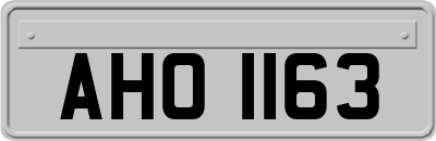 AHO1163