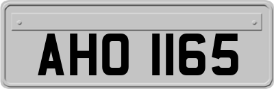 AHO1165