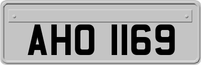 AHO1169
