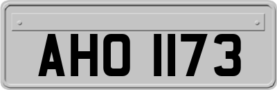 AHO1173
