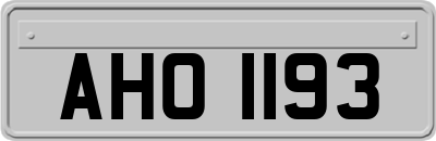 AHO1193