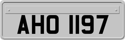 AHO1197