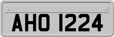 AHO1224