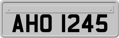 AHO1245