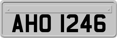 AHO1246