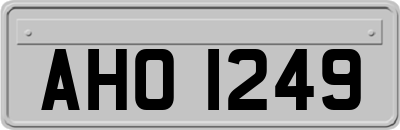 AHO1249