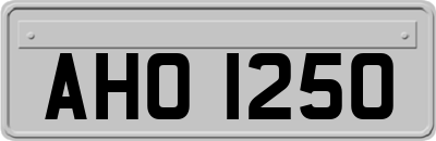 AHO1250