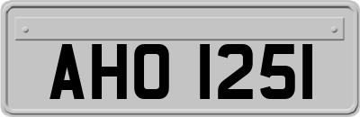 AHO1251